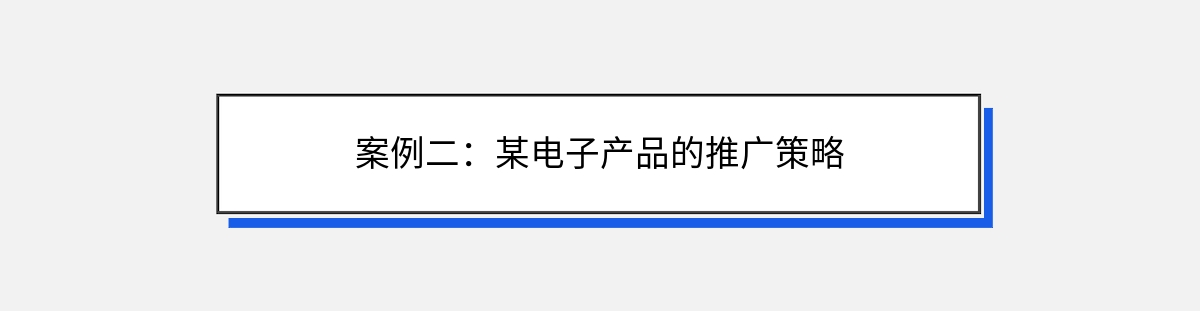 案例二：某电子产品的推广策略