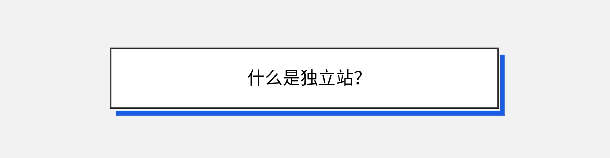 什么是独立站？