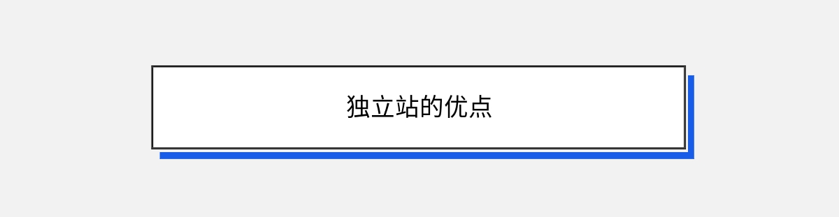 独立站的优点