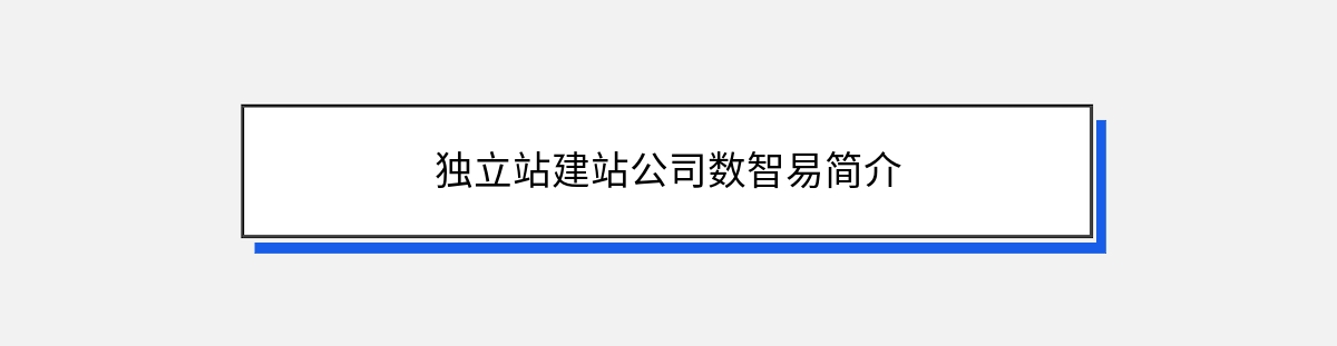 独立站建站公司数智易简介