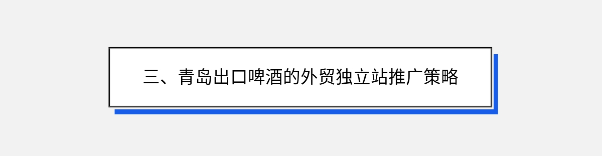 三、青岛出口啤酒的外贸独立站推广策略