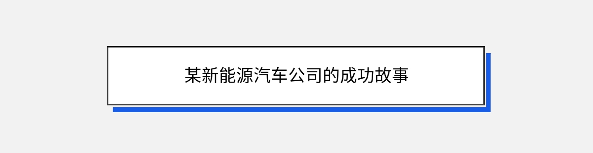 某新能源汽车公司的成功故事