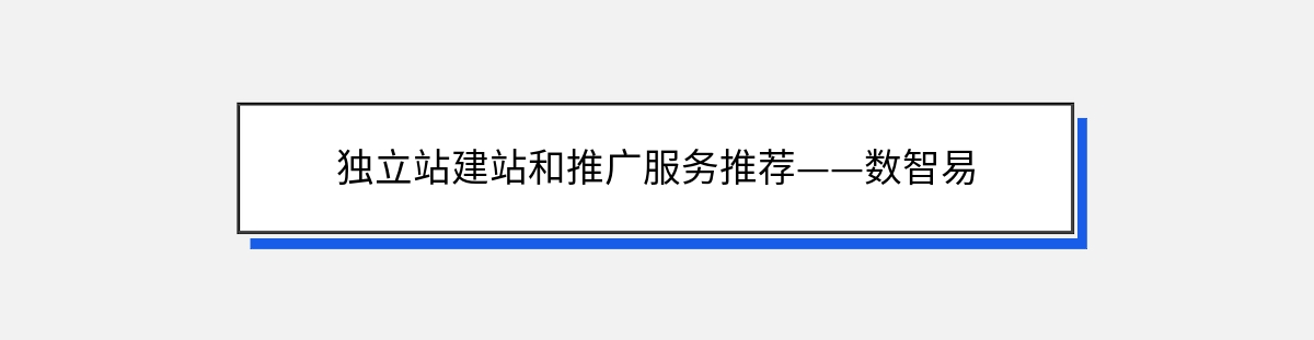 独立站建站和推广服务推荐——数智易