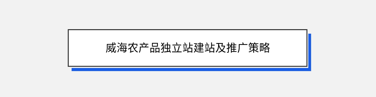 威海农产品独立站建站及推广策略