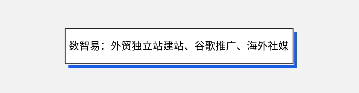 数智易：外贸独立站建站、谷歌推广、海外社媒推广服务