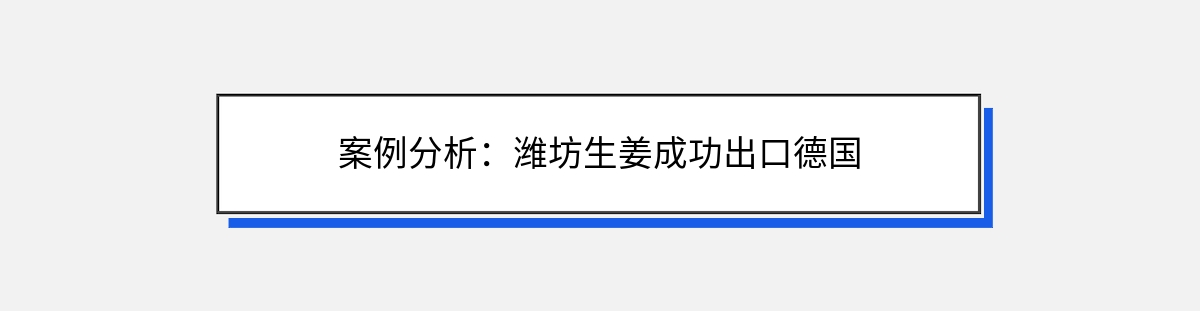 案例分析：潍坊生姜成功出口德国