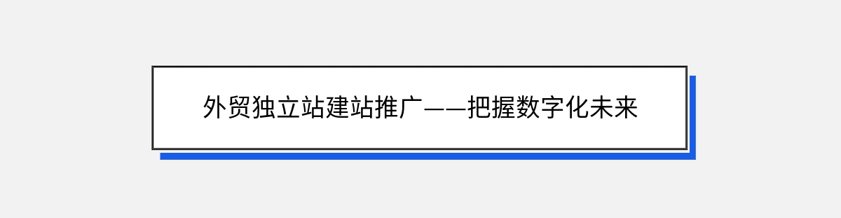 外贸独立站建站推广——把握数字化未来