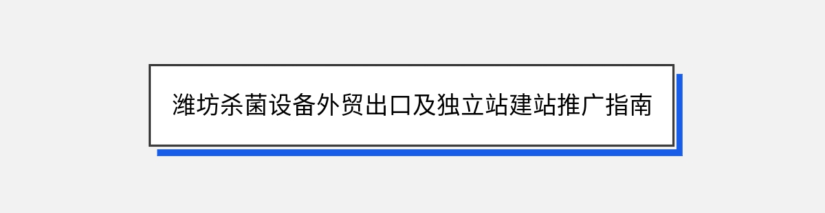 潍坊杀菌设备外贸出口及独立站建站推广指南