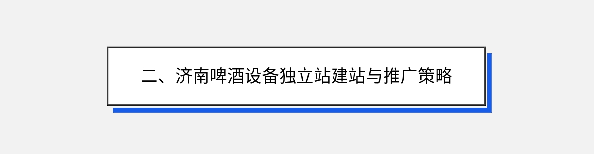 二、济南啤酒设备独立站建站与推广策略