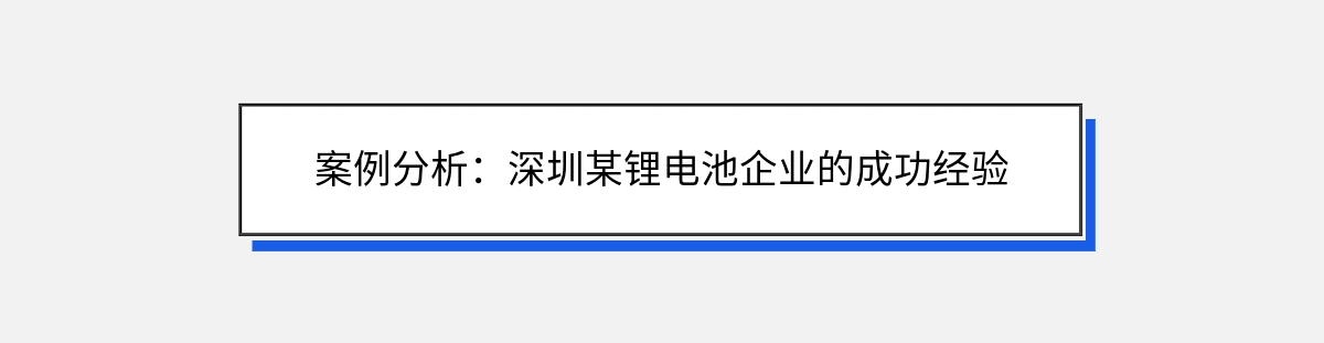 案例分析：深圳某锂电池企业的成功经验