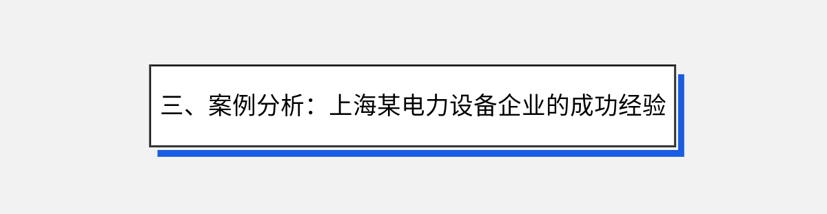 三、案例分析：上海某电力设备企业的成功经验