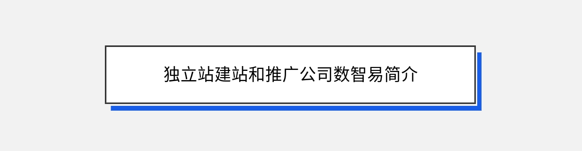 独立站建站和推广公司数智易简介