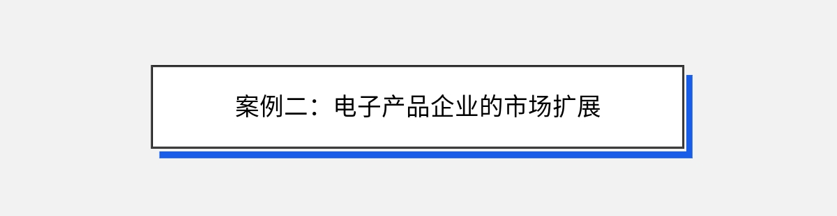 案例二：电子产品企业的市场扩展