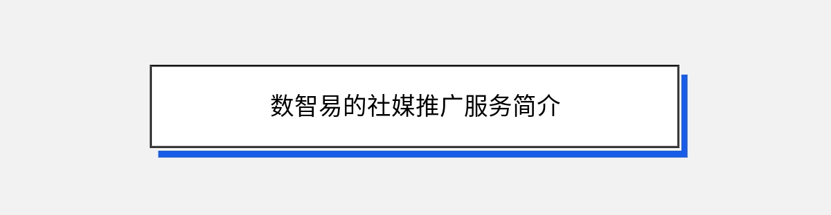 数智易的社媒推广服务简介