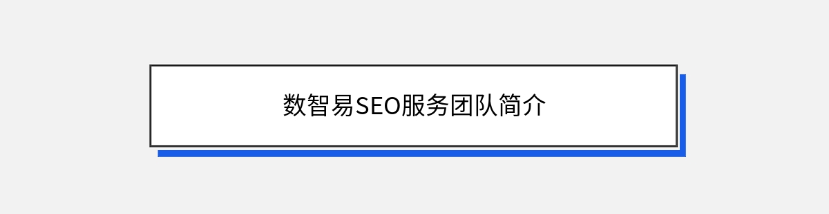 数智易SEO服务团队简介