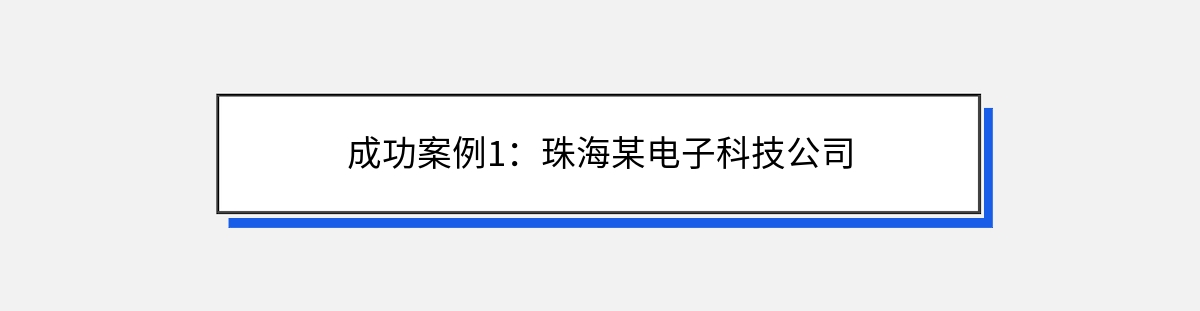 成功案例1：珠海某电子科技公司