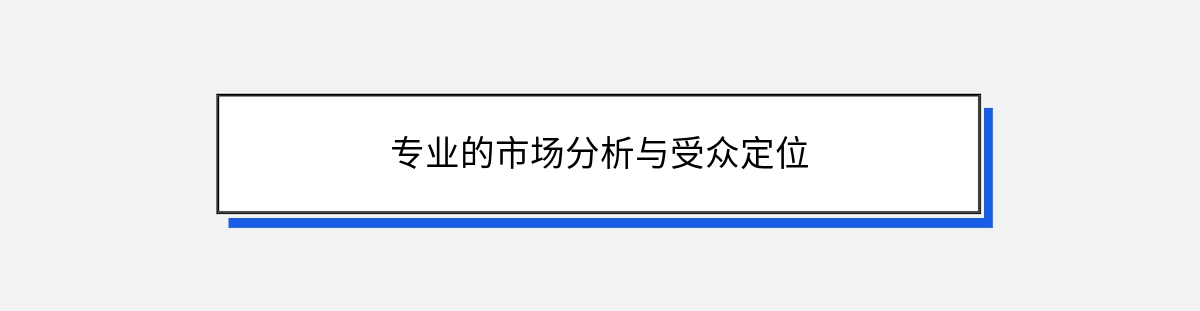 专业的市场分析与受众定位