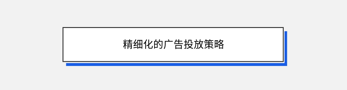 精细化的广告投放策略