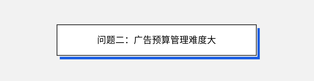 问题二：广告预算管理难度大