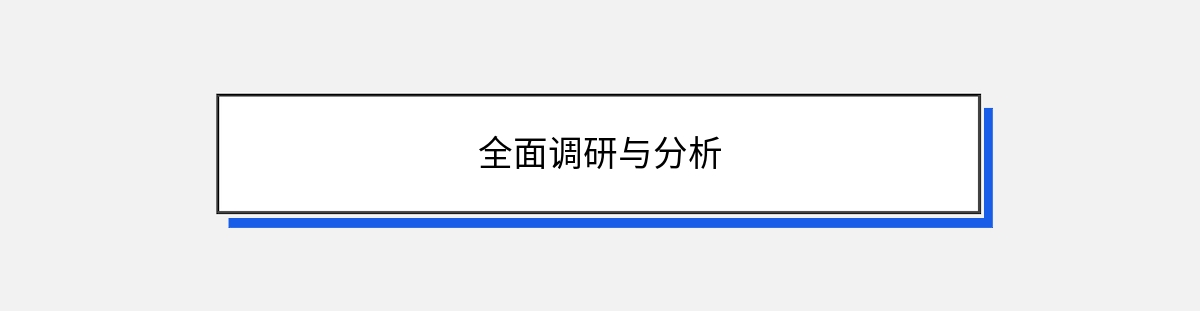 全面调研与分析