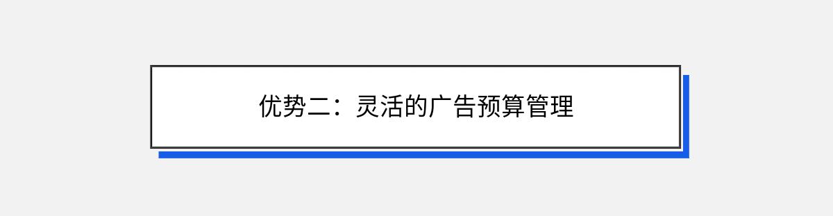 优势二：灵活的广告预算管理