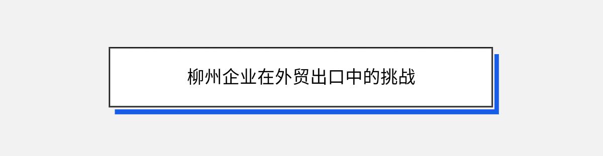 柳州企业在外贸出口中的挑战