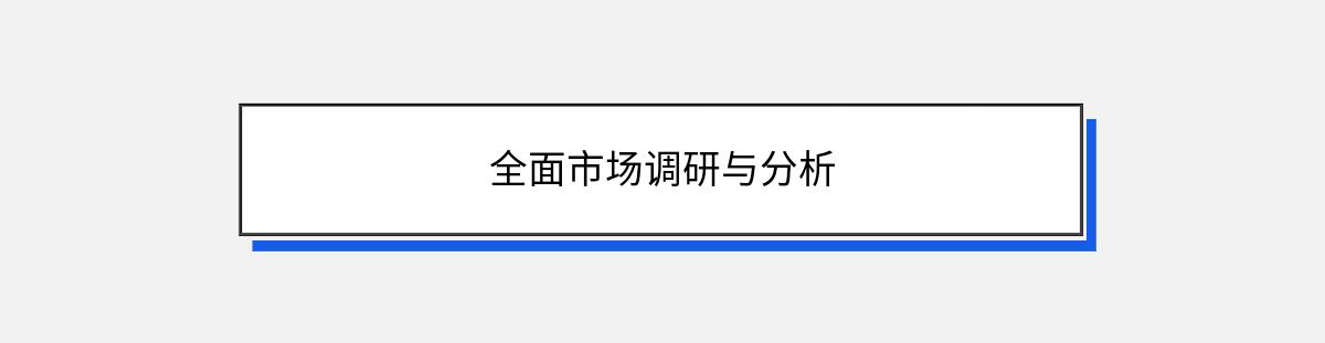 全面市场调研与分析