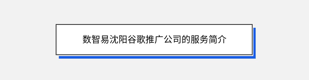 数智易沈阳谷歌推广公司的服务简介