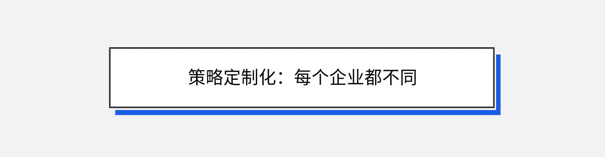 策略定制化：每个企业都不同