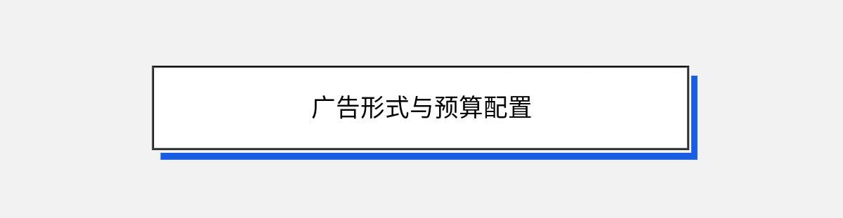 广告形式与预算配置