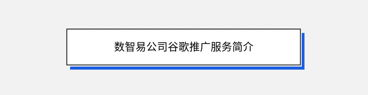 数智易公司谷歌推广服务简介