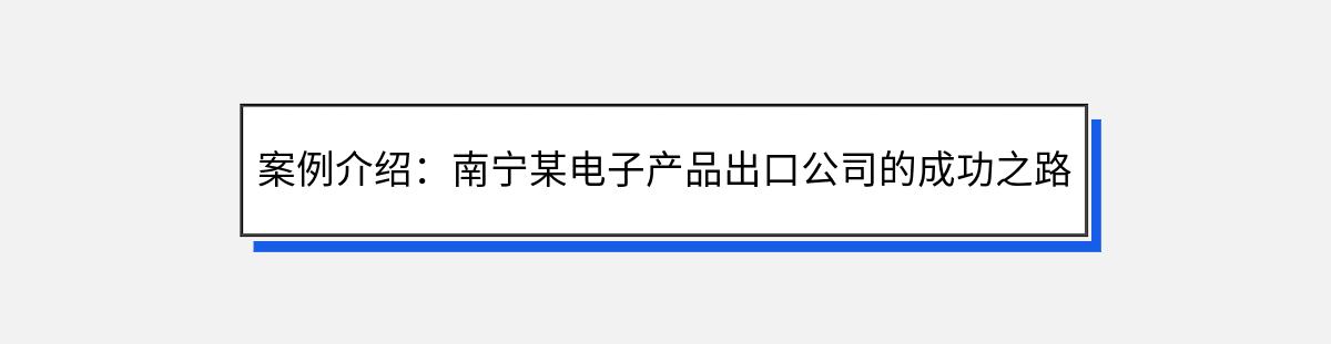 案例介绍：南宁某电子产品出口公司的成功之路