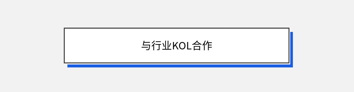 与行业KOL合作