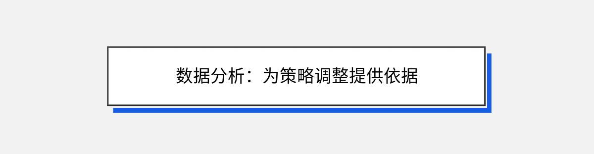 数据分析：为策略调整提供依据