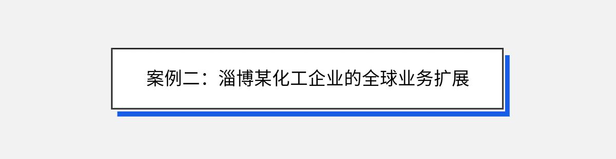 案例二：淄博某化工企业的全球业务扩展