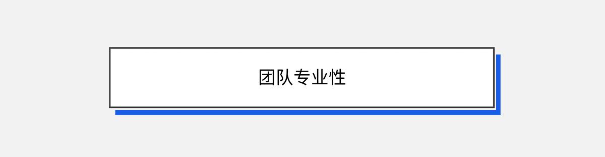 团队专业性