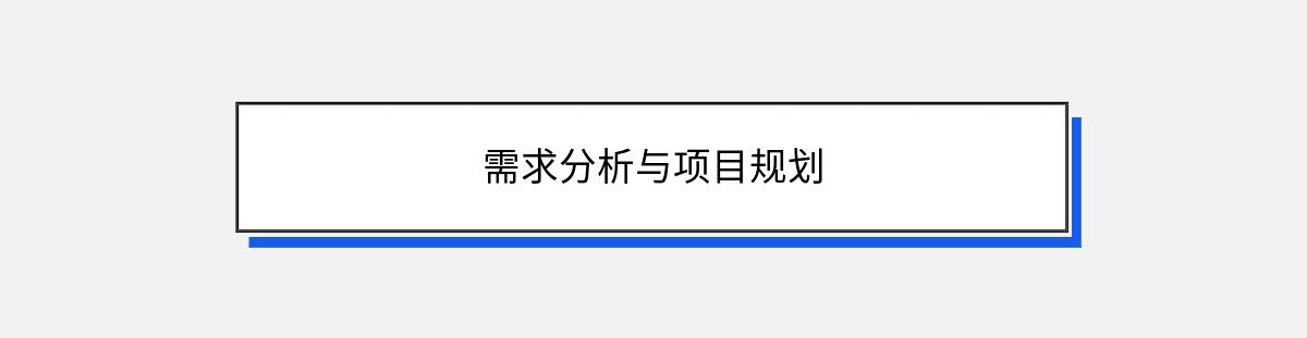 需求分析与项目规划