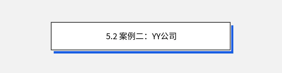 5.2 案例二：YY公司