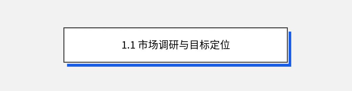 1.1 市场调研与目标定位