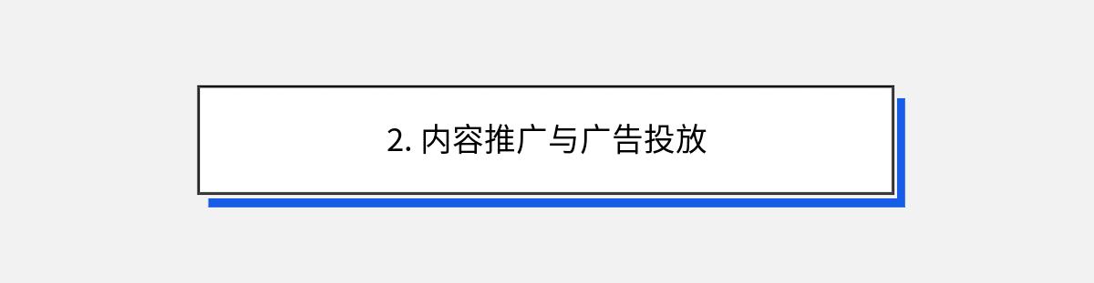 2. 内容推广与广告投放