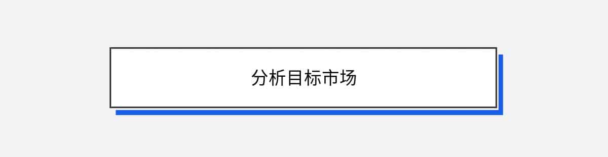 分析目标市场