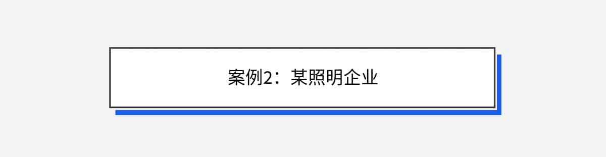 案例2：某照明企业