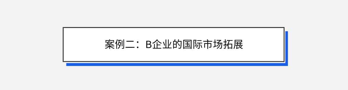 案例二：B企业的国际市场拓展