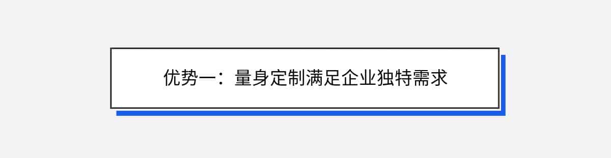 优势一：量身定制满足企业独特需求