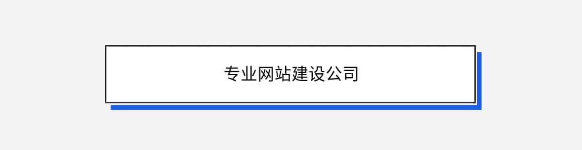 专业网站建设公司