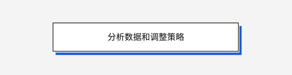 分析数据和调整策略