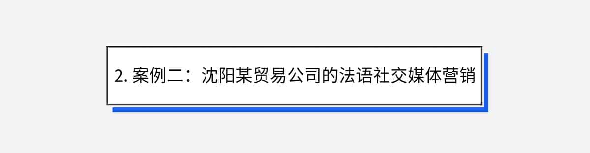 2. 案例二：沈阳某贸易公司的法语社交媒体营销