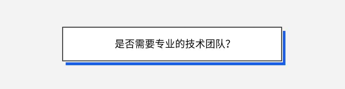 是否需要专业的技术团队？