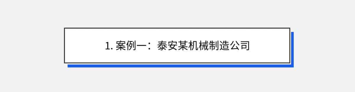 1. 案例一：泰安某机械制造公司