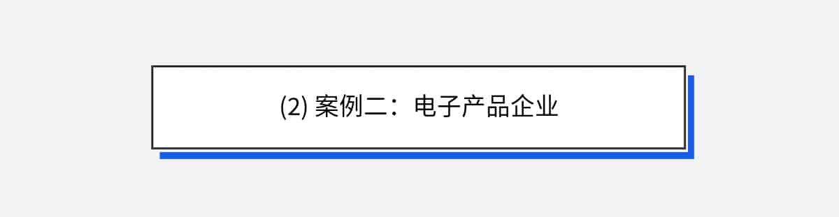 (2) 案例二：电子产品企业